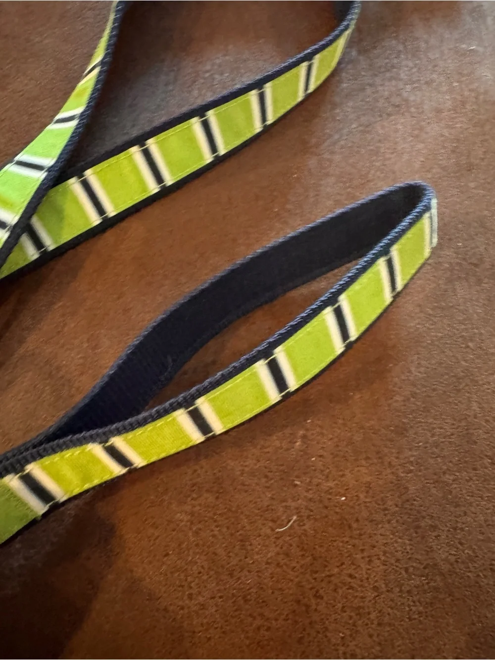 Set of 4 Assorted Dog Leashes